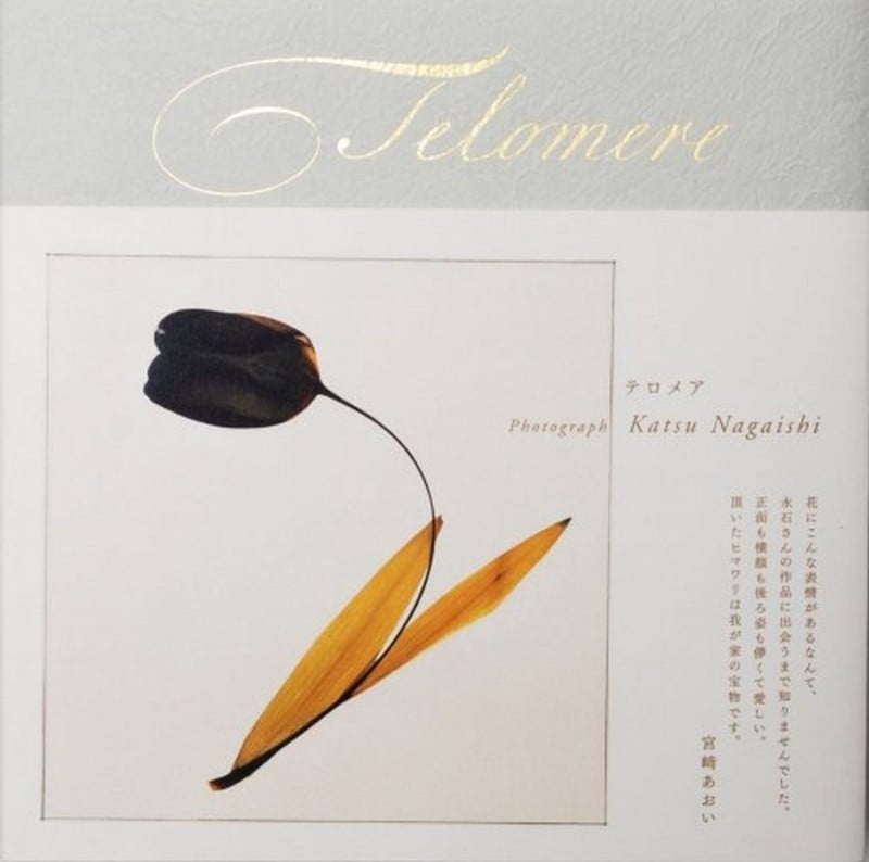 Telomere (テロメア)
