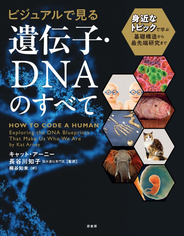 ビジュアルで見る 遺伝子・DNAのすべて 身近なトピックで学ぶ基礎構造から最先端研究まで