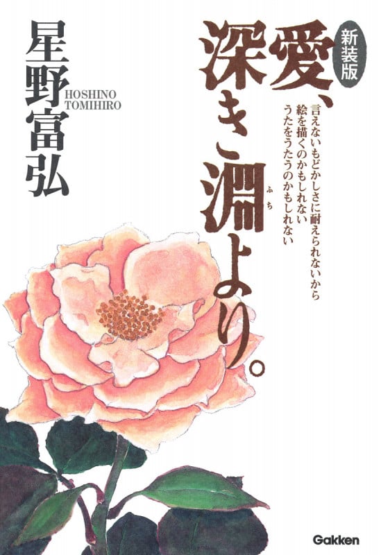 愛、深き淵より。 新装版