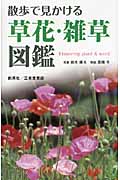 散歩で見かける草花・雑草図鑑