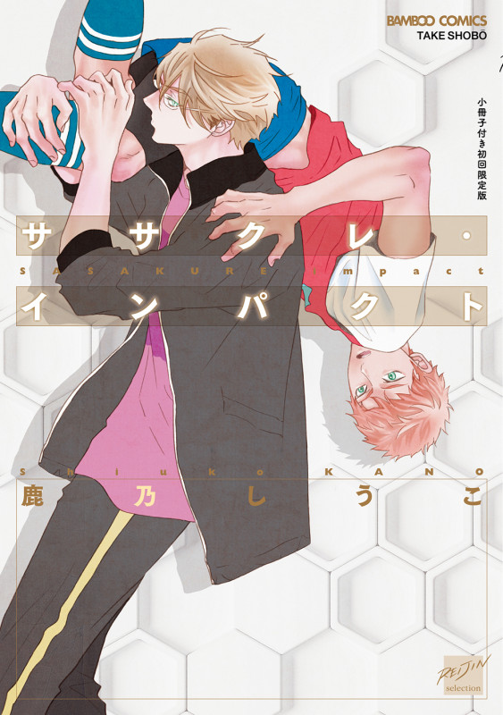 ササクレ・インパクト【小冊子付き初回限定版】 (バンブーコミックス 麗人セレクション)の詳細を見る