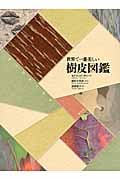 世界で一番美しい樹皮図鑑
