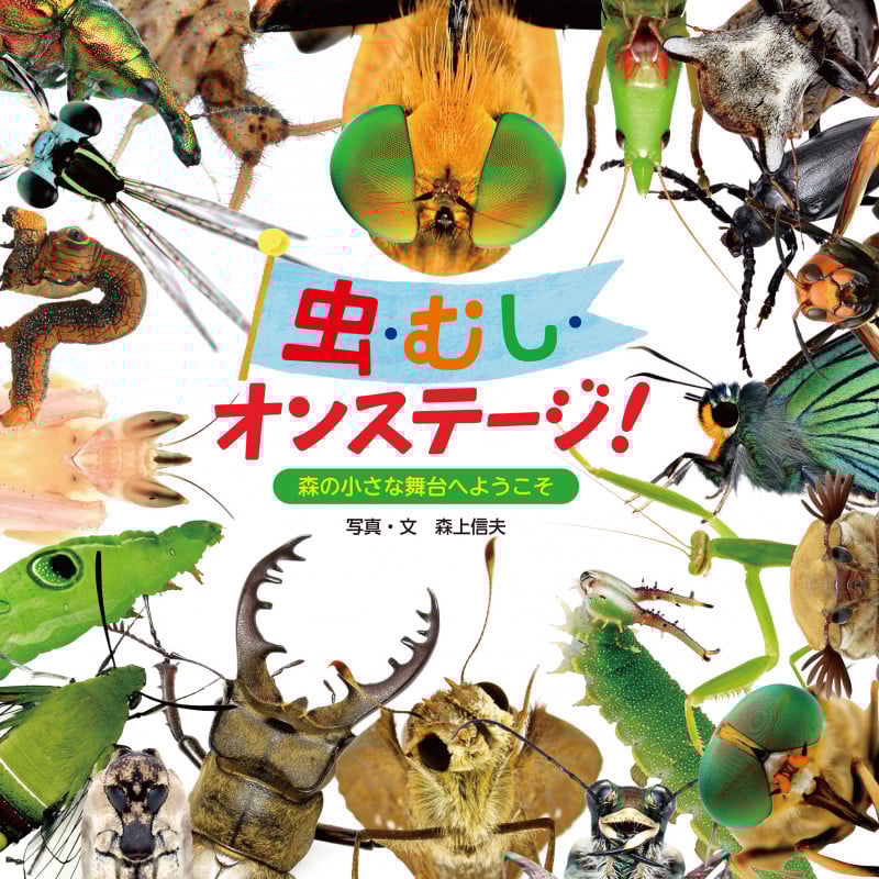 虫・むし・オンステージ! 森の小さな舞台へようこそ