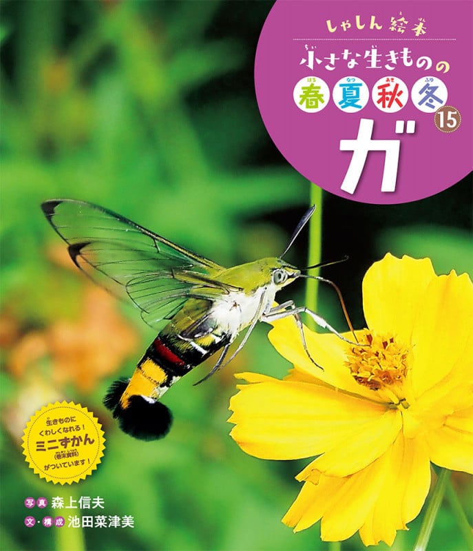 ガ (しゃしん絵本 小さな生きものの春夏秋冬 15)