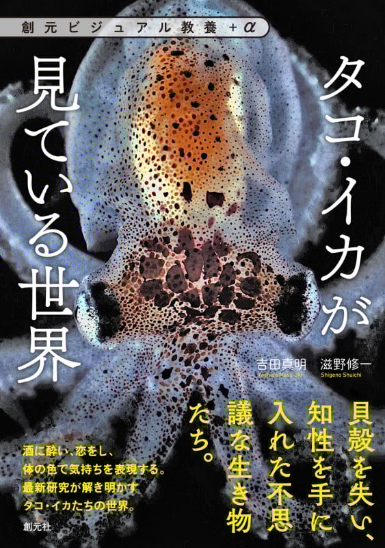 タコ・イカが見ている世界 (創元ビジュアル教養+α)の詳細を見る