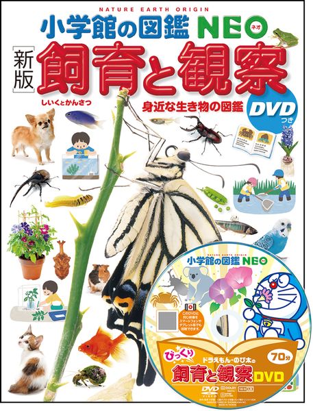 [新版]飼育と観察 DVDつき 身近な生き物の図鑑 (小学館の図鑑NEO)