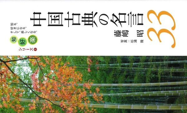 中国古典の名言33 | 藤嶋昭のあらすじ・感想 - ブクログ