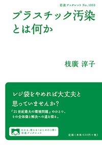 プラスチック汚染とは何か (岩波ブックレット 1003)