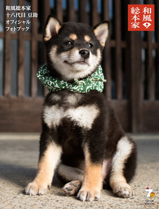 写真集 和風総本家 十八代目豆助 オフィシャルフォトブック