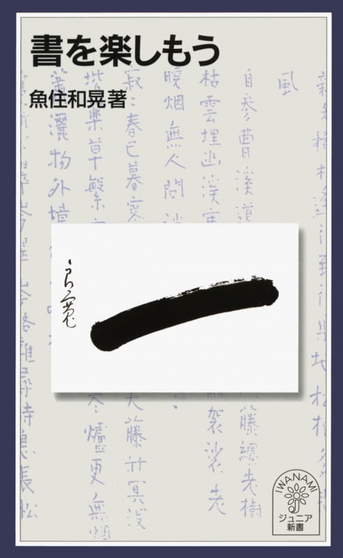 書を楽しもう (岩波ジュニア新書 420)