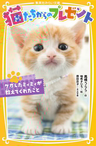 猫たちからのプレゼント ケガしたミィミィが教えてくれたこと (集英社みらい文庫)