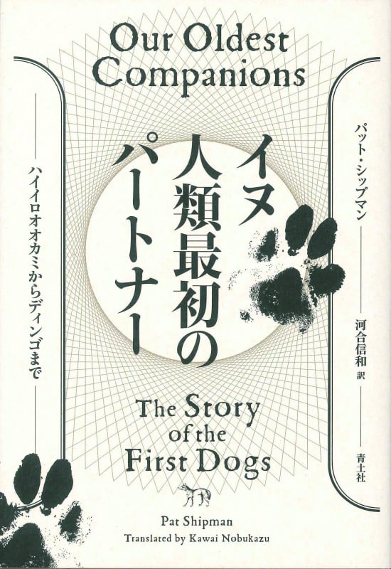イヌ 人類最初のパートナー ハイイロオオカミからディンゴまで