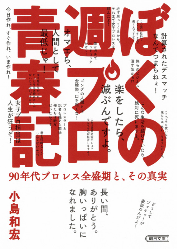 文庫 ぼくの週プロ青春記 90年代プロレス全盛期と、その真実 90年代プロレス全盛期と、その真実 (文庫)