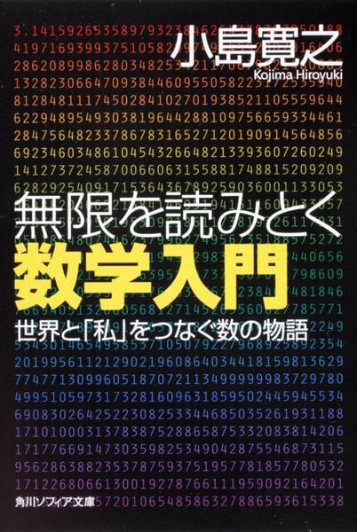 無限を読みとく数学入門 世界と「私」をつなぐ数の物語 (角川ソフィア文庫)