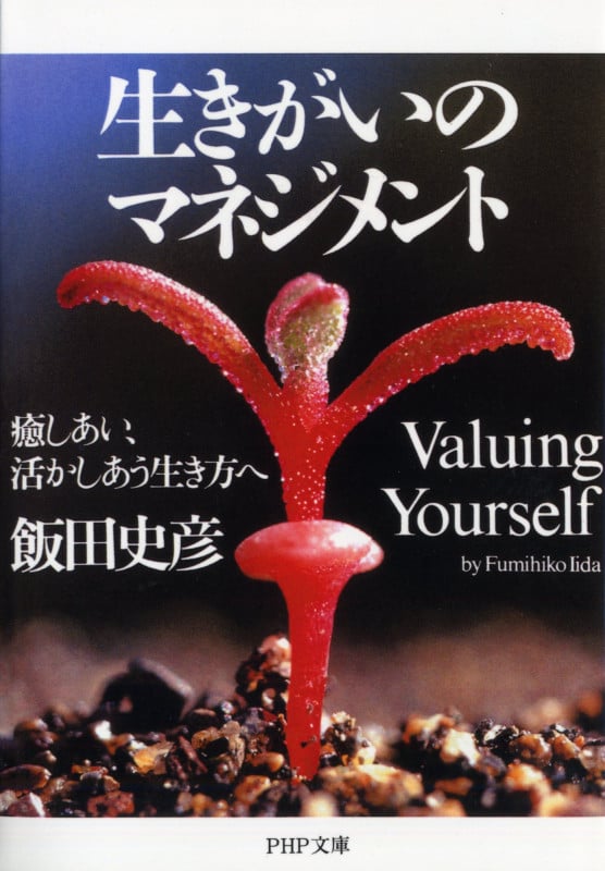 飯田史彦15冊組セット これでいいのだ わが道を幸せに生きる方法