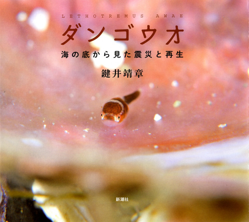 ダンゴウオ 海の底から見た震災と再生