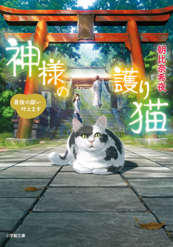 神様の護り猫 最後の願い叶えます