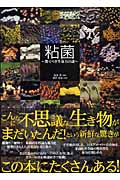 粘菌 驚くべき生命力の謎