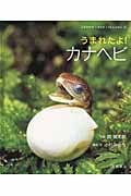 うまれたよ! カナヘビ (よみきかせ いきものしゃしんえほん 20)