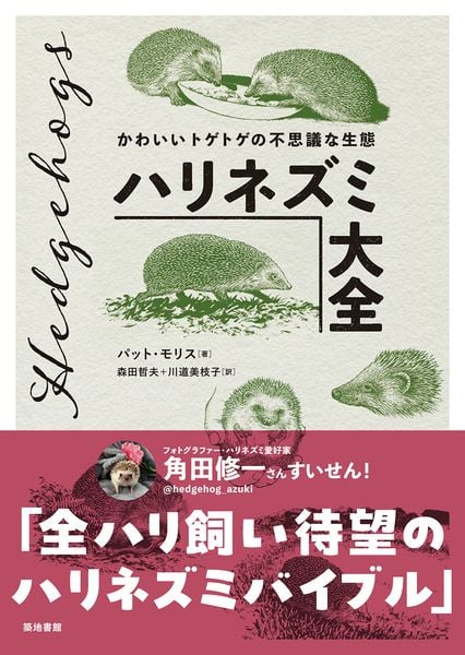 ハリネズミ大全 かわいいトゲトゲの不思議な生態