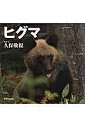 ヒグマ 北国の野生動物