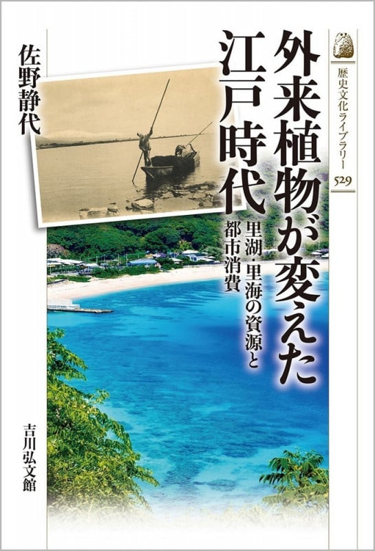 外来植物が変えた江戸時代 里湖・里海の資源と都市消費 (529) (歴史文化ライブラリー)の詳細を見る
