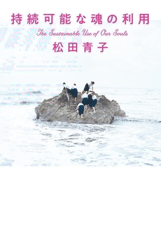 持続可能な魂の利用 (単行本)