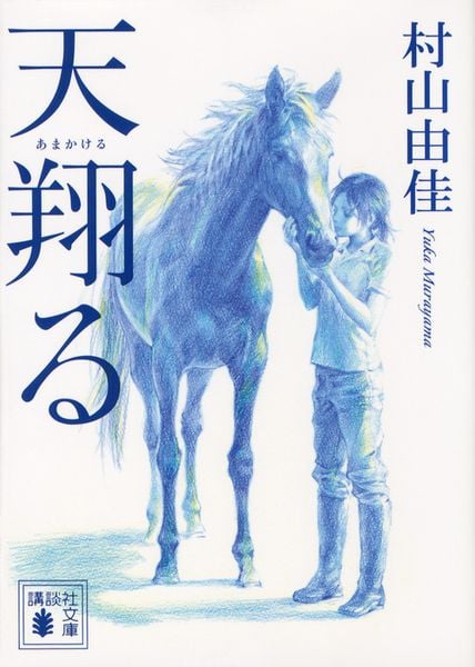 天翔る (講談社文庫)の詳細を見る