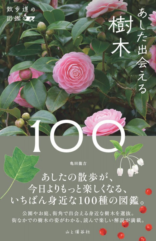 あした出会える樹木100 (散歩道の図鑑)