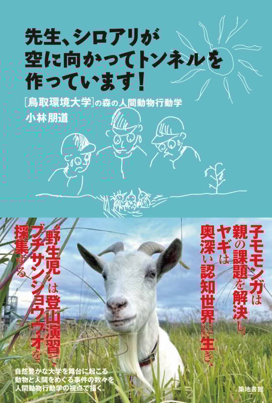先生、シロアリが空に向かってトンネルを作っています! 鳥取環境大学の森の人間動物行動学の詳細を見る