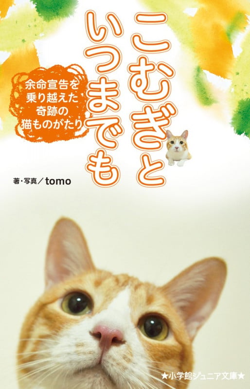 こむぎといつまでも 余命宣告を乗り越えた奇跡の猫ものがたり (小学館ジュニア文庫)