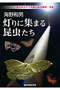 海野和男 灯りに集まる昆虫たち 家や街なかで気軽に昆虫観察・採集