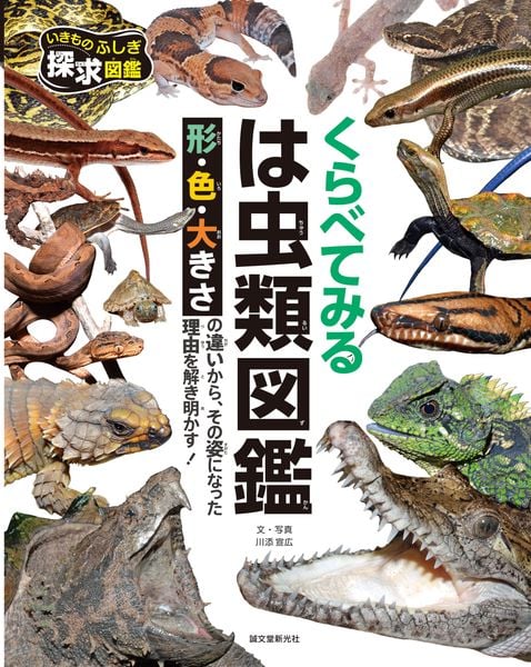 くらべてみる は虫類図鑑  形・色・大きさの違いから、その姿になった理由を解き明かす! (いきものふしぎ探求図鑑)