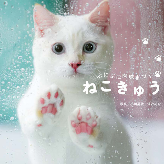 ねこきゅう ぷにぷに肉球まつり