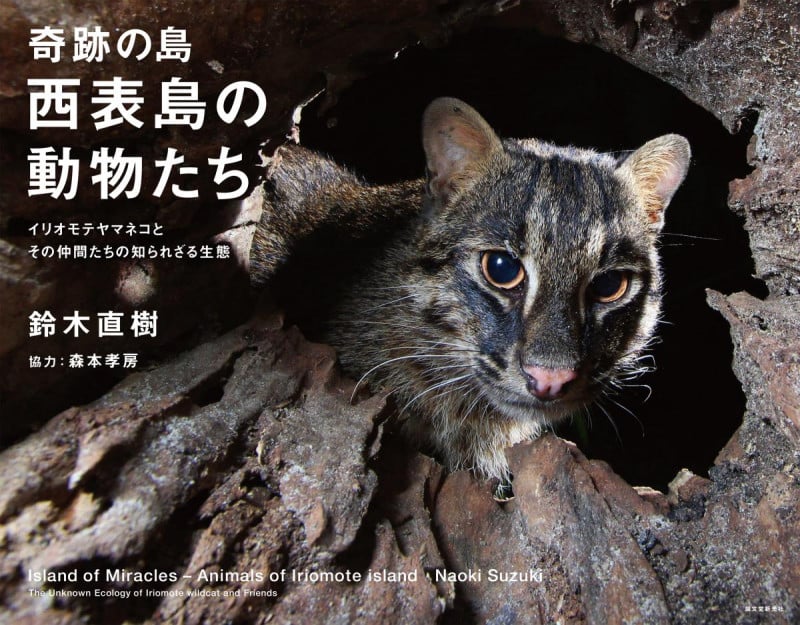 奇跡の島 西表島の動物たち イリオモテヤマネコとその仲間たちの知られざる生態