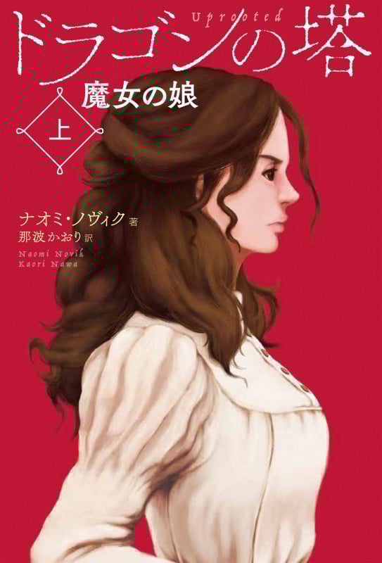 ドラゴンの塔 魔女の娘 (上)