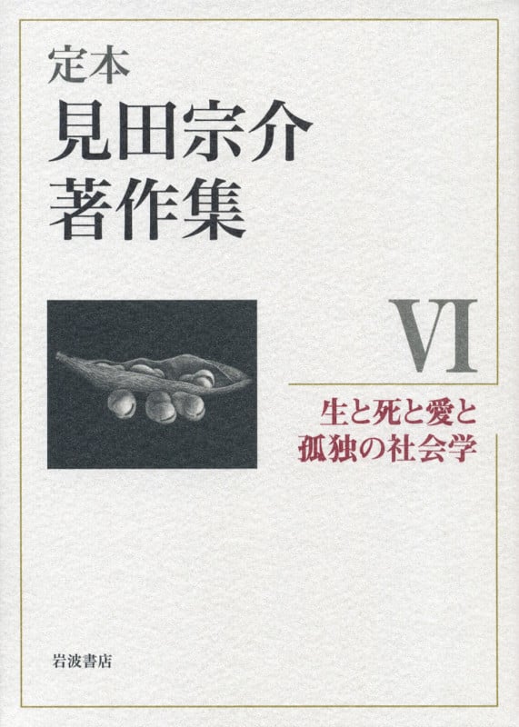 定本 見田宗介著作集 (6)