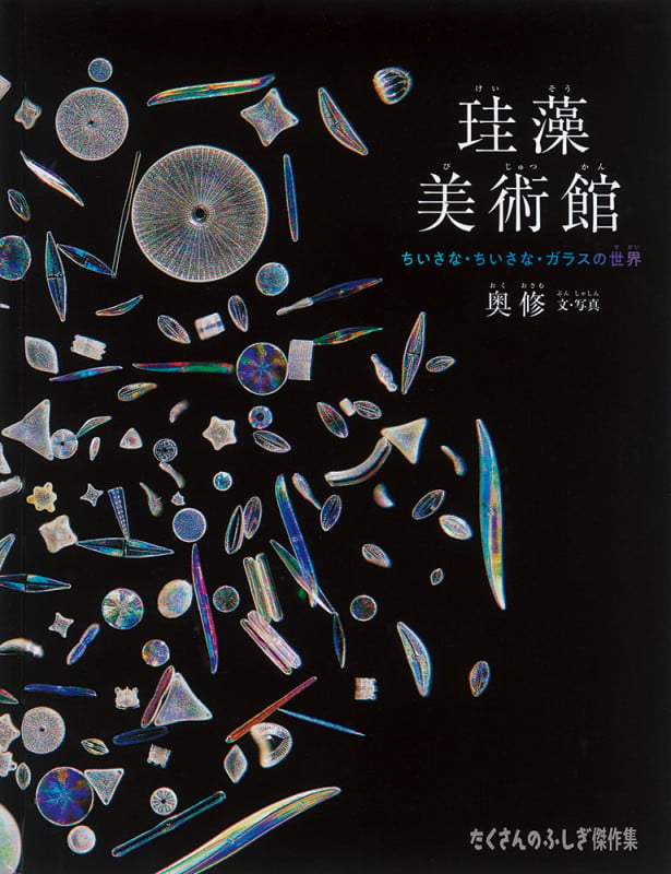 珪藻美術館 ちいさな・ちいさな・ガラスの世界 (たくさんのふしぎ傑作集)