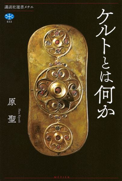 ケルトとは何か (講談社選書メチエ)