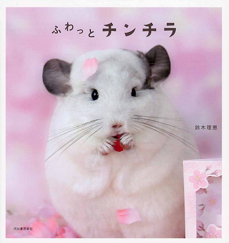 写真集 ふわっとチンチラ