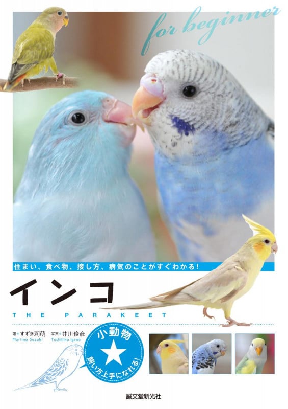 インコ 住まい、食べ物、接し方、病気のことがすぐわかる! (小動物★飼い方上手になれる!)
