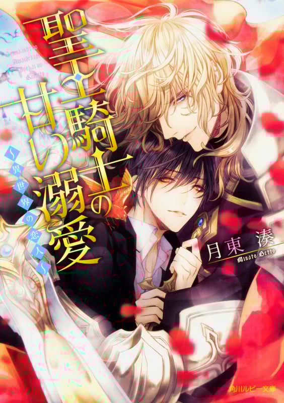 聖王騎士の甘い溺愛 ~異世界の恋人~ (角川ルビー文庫)