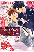 型にはまらぬ恋だから (ディアプラス文庫)