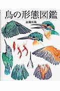 小学館の図鑑 NEO POCKET -ネオぽけっと-鳥 | 上田恵介のあらすじ