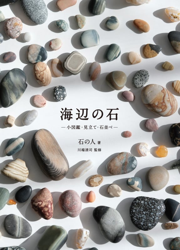 海辺の石 ー小図鑑・見立て・石並べー