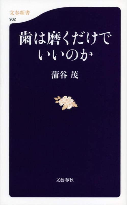 歯は磨くだけでいいのか (文春新書)の詳細を見る