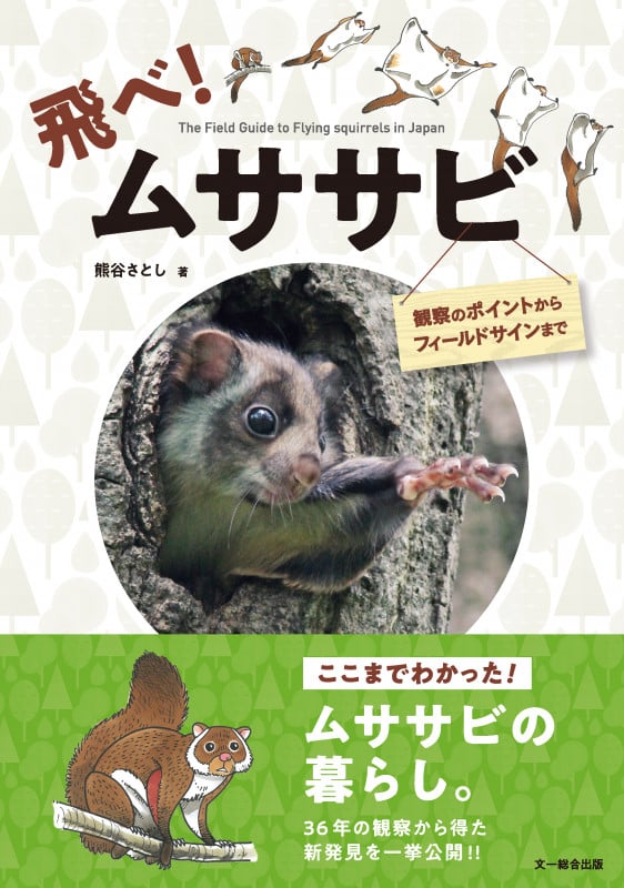 飛べ!ムササビ 観察のポイントからフィールドサインまで