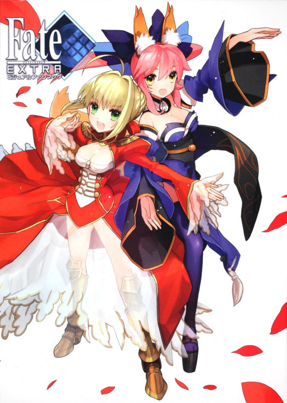 フェイト/エクストラ ビジュアルファンブック