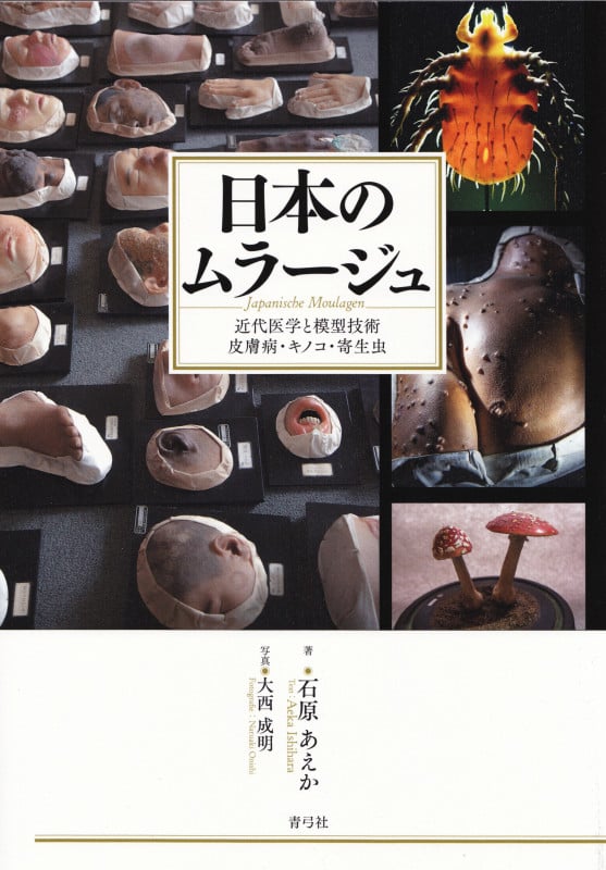 日本のムラージュ 近代医学と模型技術 皮膚病・キノコ・寄生虫
