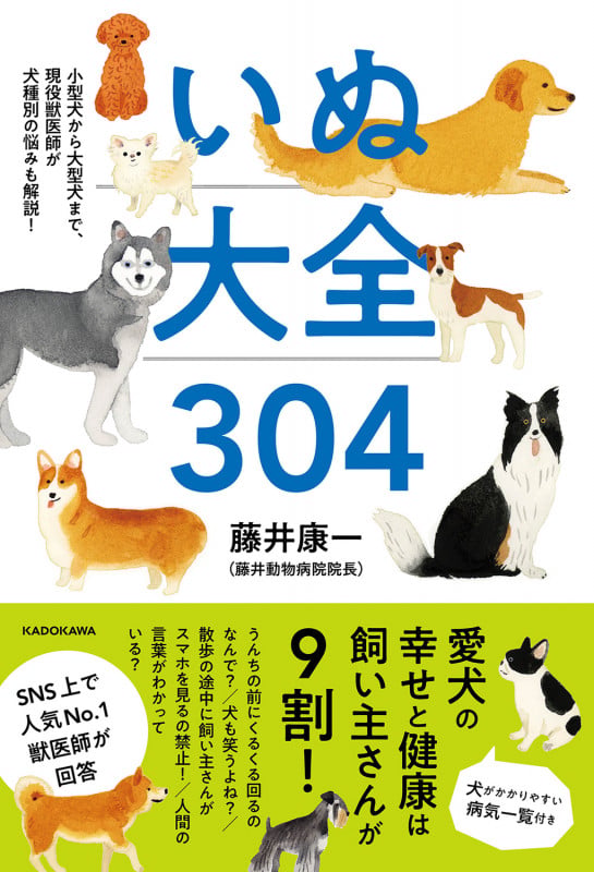 小型犬から大型犬まで、現役獣医師が犬種別の悩みも解説! いぬ大全304